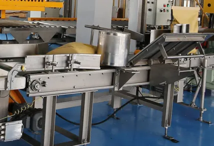 Băng tải vận chuyển bao